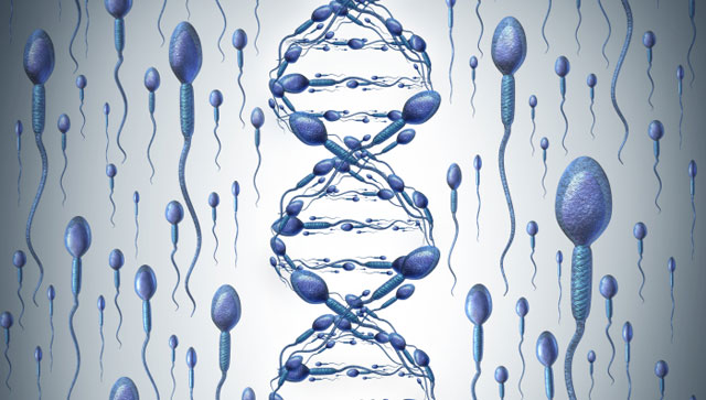 DNA fragmentation in sperm