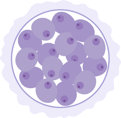 Comparison of Single & Multiple Embryo Transfer.1